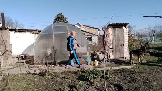 Перед поездкой.Тамерлан в шоке! смотреть онлайн