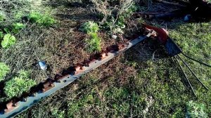 Косилка сегментная без пальцевая