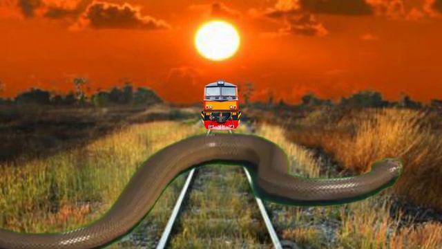 11 June 2023 Anaconda vs Train funny video 🐍 snake смотреть онлайн