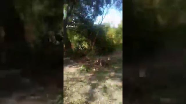 СЛАВЯНСК иду В БОЙ! смотреть онлайн