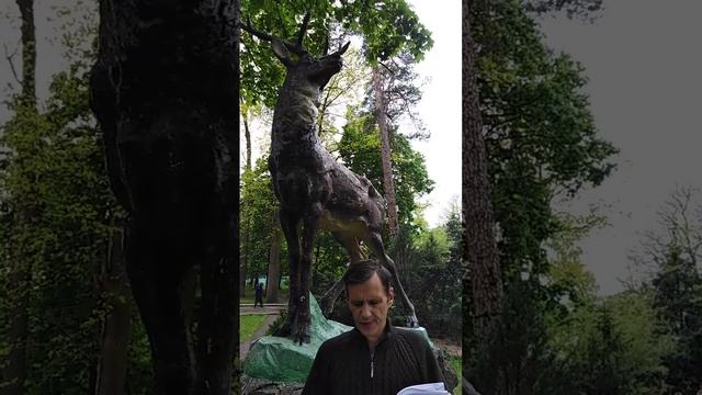 Владим Сокол Прощальная Встреча смотреть онлайн