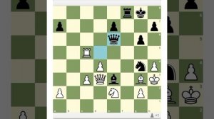 Новинка Карпова. Карпов - Каспаров. Матч на первенство мира. Шахматы