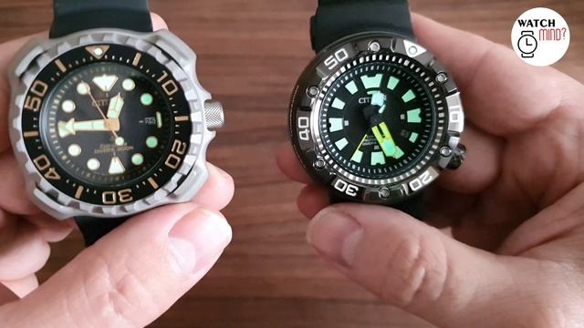 Citizen Diver's 200m Promaster Titanuim BN0220-16E Vs Promaster Professional 300m BN0175-01E, 4K
