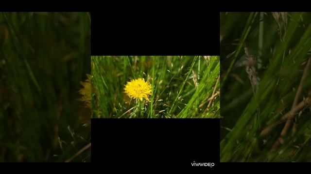 Чи віруюча ви людина! Чи це ще важливо в сучасному світі! Як вирахувати фіктивних віруючих. смотреть онлайн