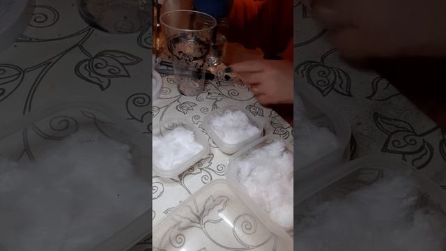 подготовка емкости к замачиванию семян смотреть онлайн