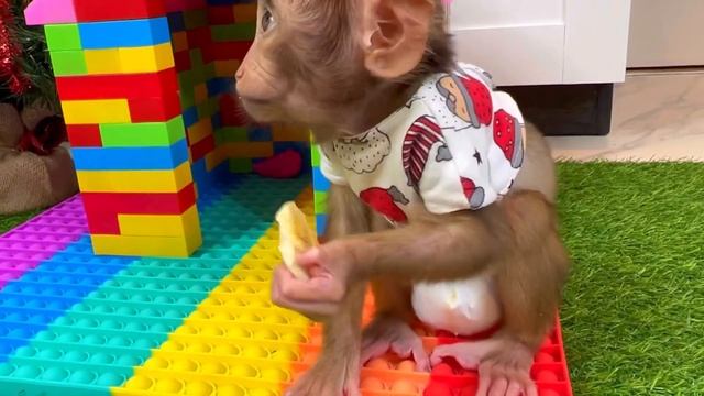 Baby monkey LULU Eats Ice Cream and makes a banana smoothie смотреть онлайн