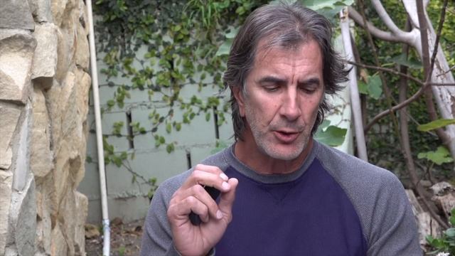 Dog Training Aggression and Questions - Robert Cabral's Ask Me Anything смотреть онлайн