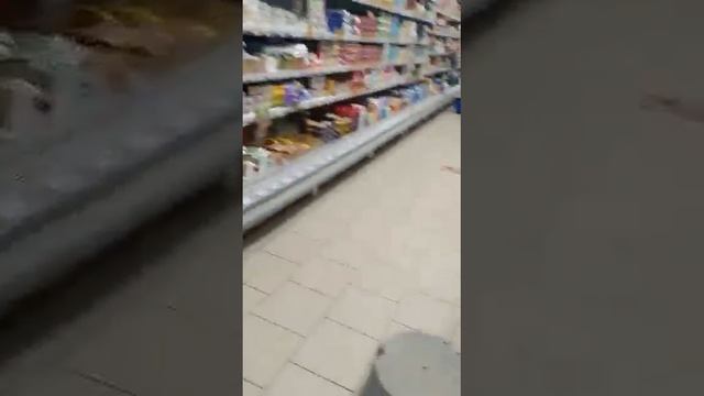 крысы в пятёрочке смотреть онлайн