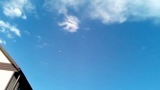 Погода разгулялась гоним птицу 20190706 смотреть онлайн