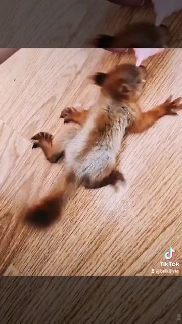 7 апреля 2021 г. смотреть онлайн