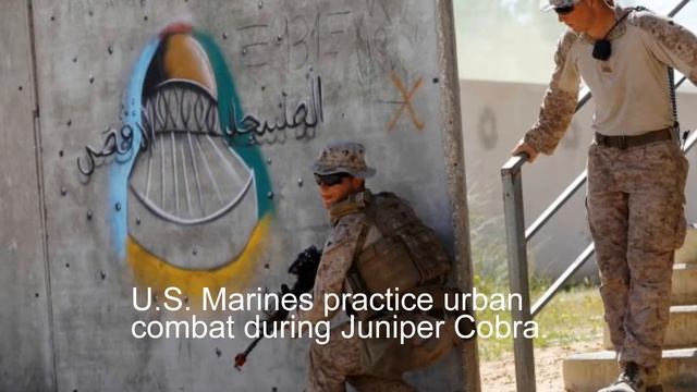 Juniper Cobra military exercises | NCB смотреть онлайн
