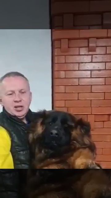 @eralash смотреть онлайн