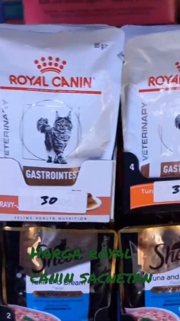 harga royal canin sachetan #short #royalcanin #kucing #makanankucing смотреть онлайн