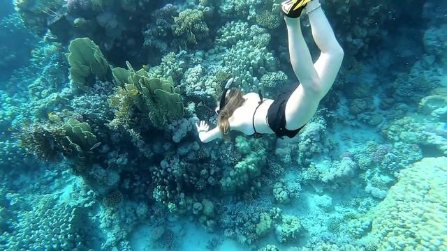 Sharm el Sheikh in november 2021 смотреть онлайн