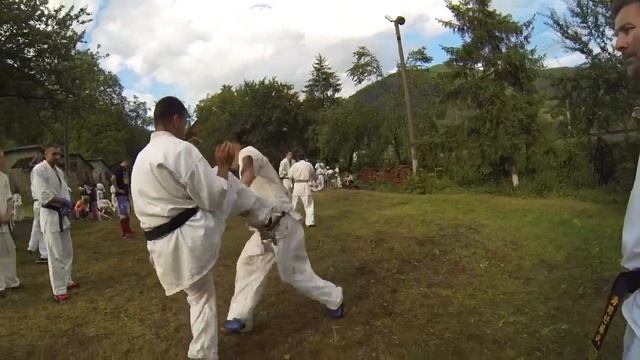 Anatolij Ignatjo Dan test. Shidokan karate. смотреть онлайн