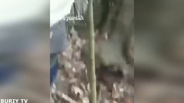 Д1авал Хьо Соьх Кхолш Ву! ЧЕЧЕНСКИЕ НОВЫЕ ПРИКОЛЫ ПОДБОРОК-2019 смотреть онлайн