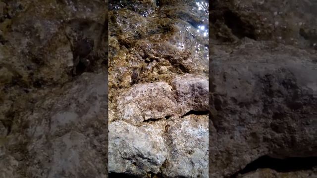 Черноморские крабики (Херсонес) смотреть онлайн