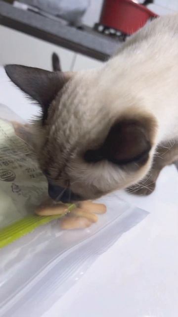 내꺼인듯 내꺼아닌 과자.ㅋㅋㅋㅋㅋ смотреть онлайн