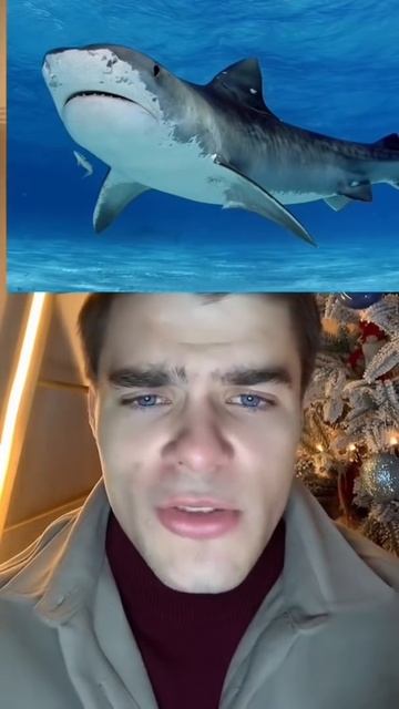 Рыбак Спас Акулу И Вы Не Поверите Что Рыба Сделала С Мужчиной😱 #shorts #история смотреть онлайн