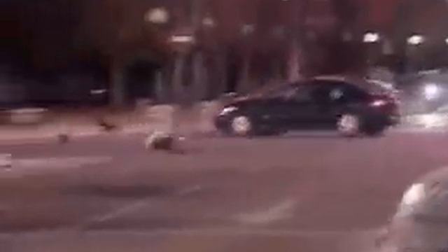 Correct Way to Arrest a Terrorist смотреть онлайн
