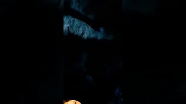 Кит хочет ета кино смотрет доканса патписите миня пишите каментаря смотреть онлайн