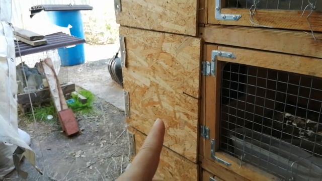 #кролики#видео#Крольчатник_своими_руками_часть_2 смотреть онлайн