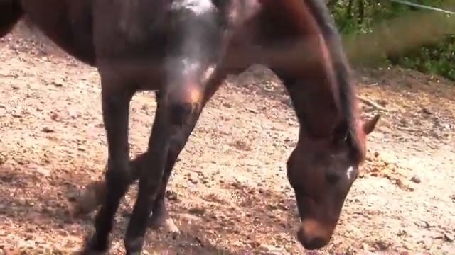 Rest In Peace, Beautiful.