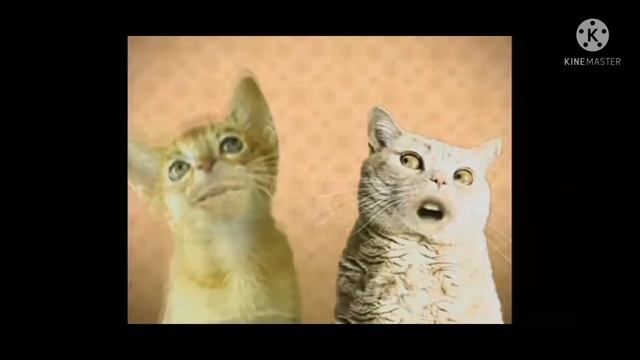 Preview 2 Numa cat effects (my version) смотреть онлайн