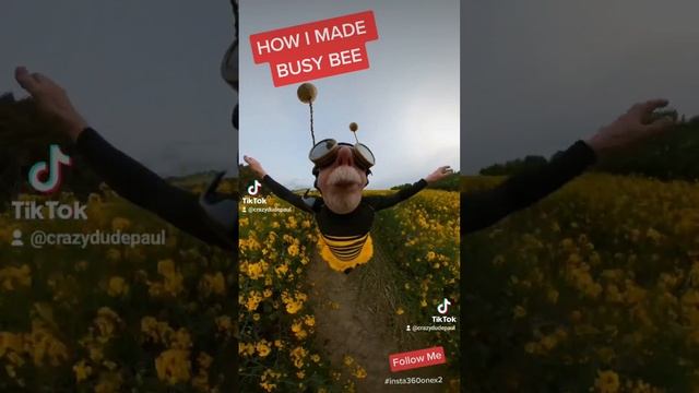 How I filmed 'Busy Bee' #insta360nosemode смотреть онлайн