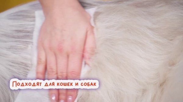 Обзор влажных салфеток PrettyPet. Видео для маркетплейсов
