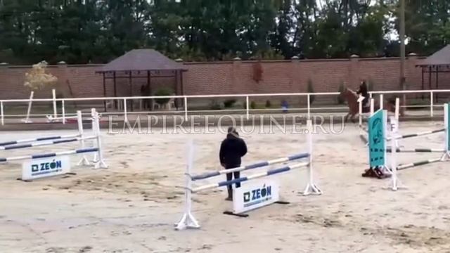 1286 смотреть онлайн