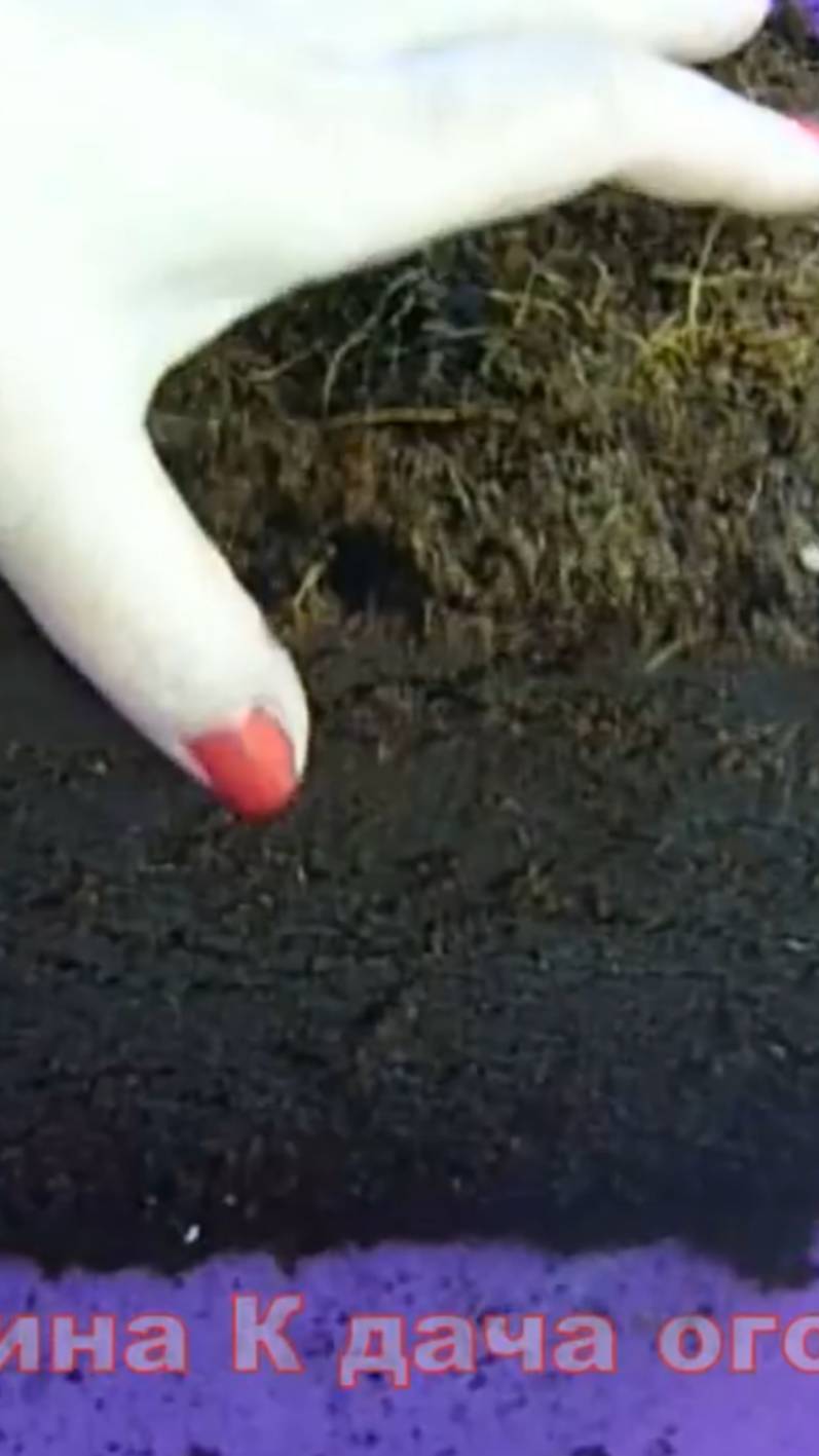 Кокосовый субстрат для рассады смотреть онлайн