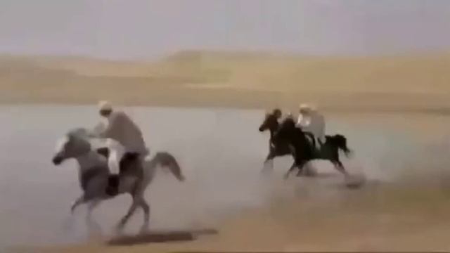 Нашид смотреть онлайн