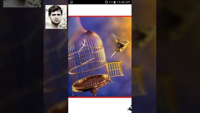 کــــتــاب نوم ـ طاقت بخونکى فکرونه په غږيز صوتى ډول смотреть онлайн