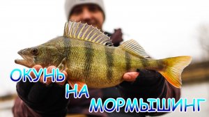 МОРМО НАНО джиг зимой 💪💪💪 Отличные приманки для отличного ОКУНЯ 👍