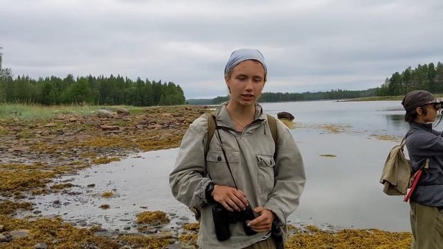 Телепередача журнала "Полярная крачка" №3 смотреть онлайн