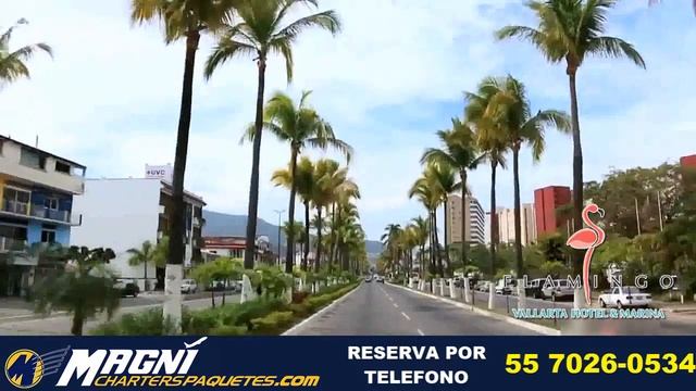 FLAMINGO PUERTO VALLARTA смотреть онлайн