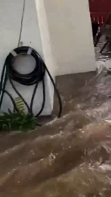 Самый быстрый способ полить газон 🤣 смотреть онлайн