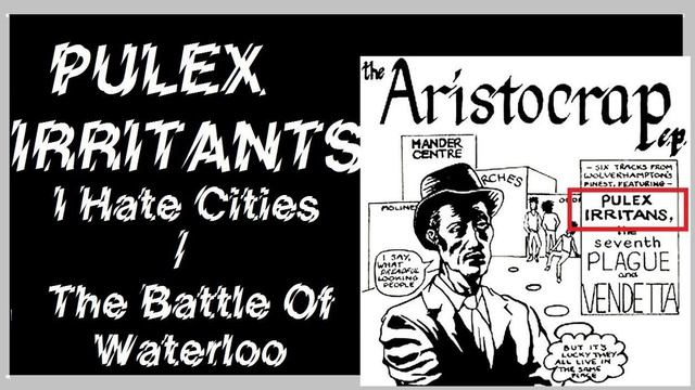 Pulex Irritants - from Aristocrap comp 7" 1984 смотреть онлайн