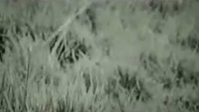 Niemiecka reklama EURO 2008 смотреть онлайн