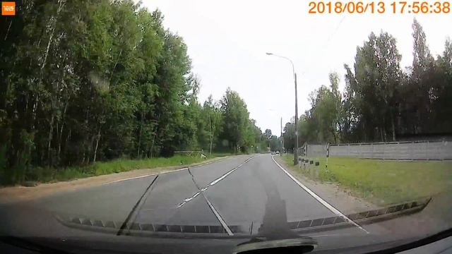 Утка на прогулке. Вот это опасно. смотреть онлайн