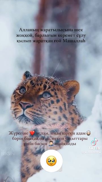 25 июля 2024 г. смотреть онлайн