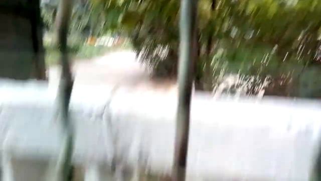 Пропала птица 2 Часть!!! смотреть онлайн