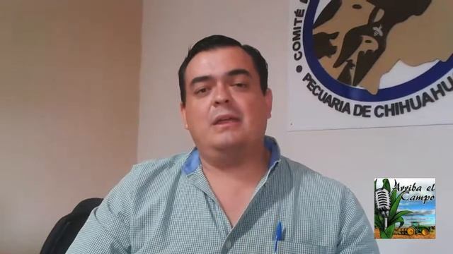 Chihuahua podría ser reconocido como libre de Garrapata Boophilus por USDA смотреть онлайн