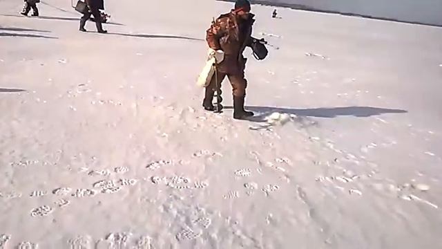 Судак№2-иле 1 смотреть онлайн
