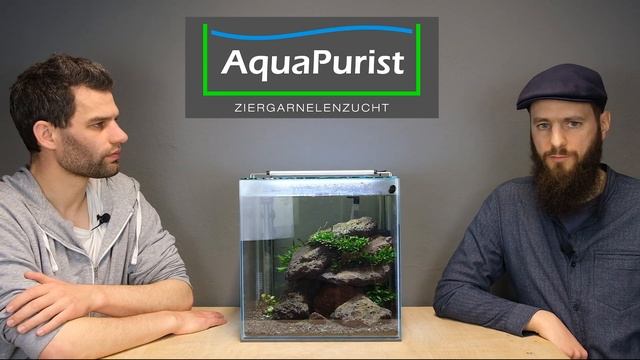 Alles was du über Neocaridina wissen musst: Eine kurze Übersicht über Zwerggarnelen im Aquarienhobb смотреть онлайн