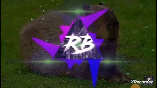 капибара песня фонк