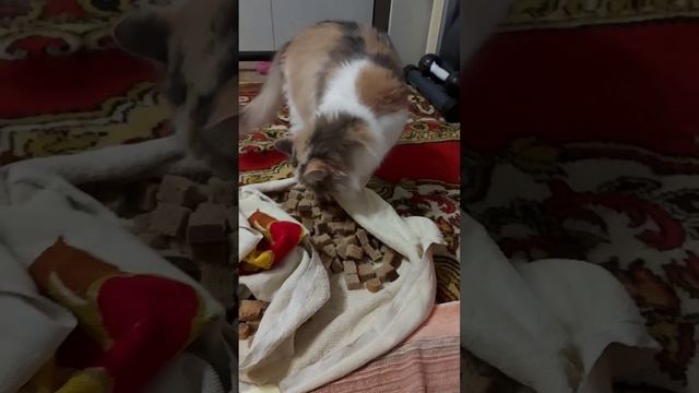 Кошка и черный хлеб 🍞. Сушим сухари. смотреть онлайн