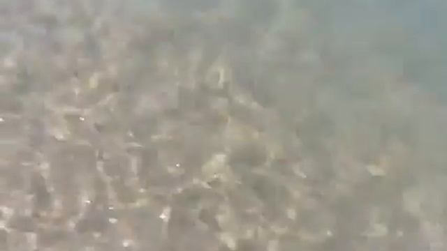 dalyan video dalyan mavikosk apart hotel смотреть онлайн
