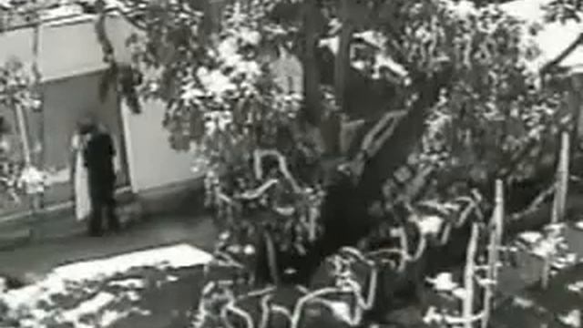 cheating bride caught on camera смотреть онлайн